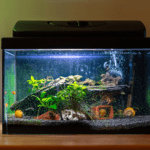 What is Aquaponics? Top 3 Aquaponics Fish Tank Ideas