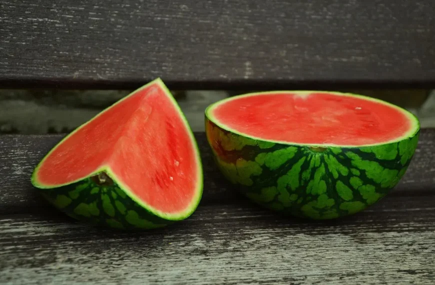 Can Cats Have Watermelon? The Best Guide