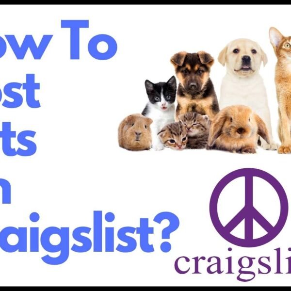 How To Post Pets On Craigslist? A Beginner’s Guide