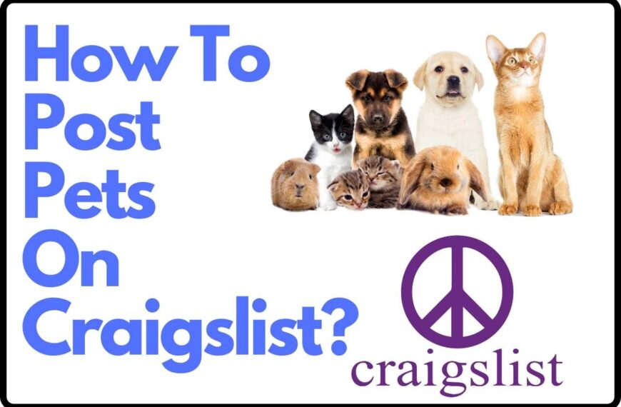 How To Post Pets On Craigslist? A Beginner’s Guide