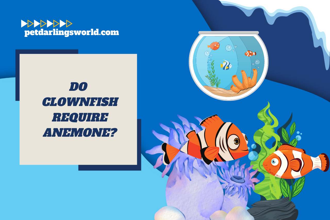 do clownfish require anemone