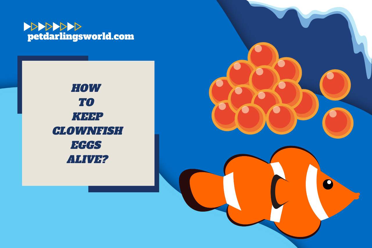 how to keep clownfish eggs alive