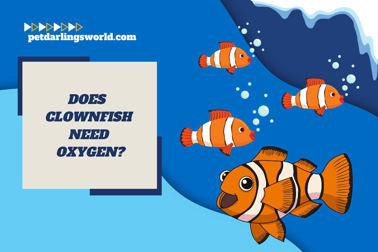 does clownfish need oxygen