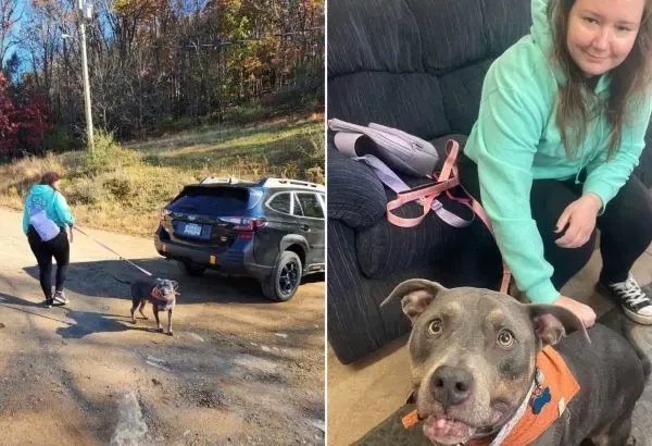 The Dog Waits 7 Years for Perfect Family at PA Shelter